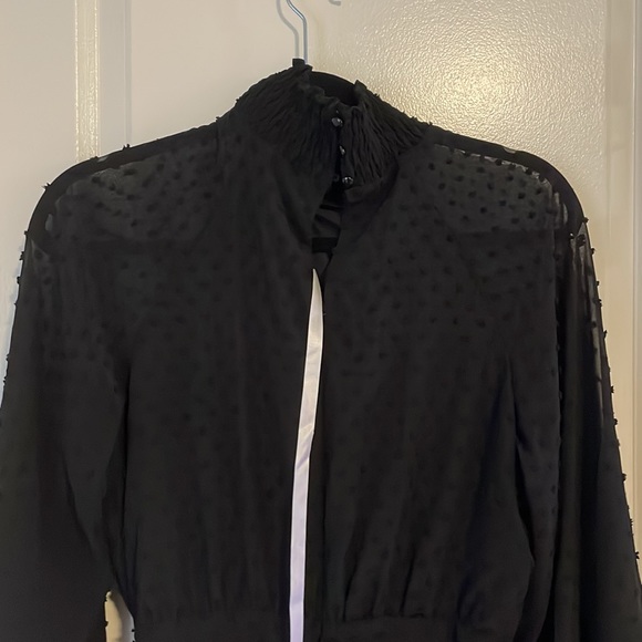 Black Swiss dot long sleeve dress (US size 8) - Picture 3 of 3